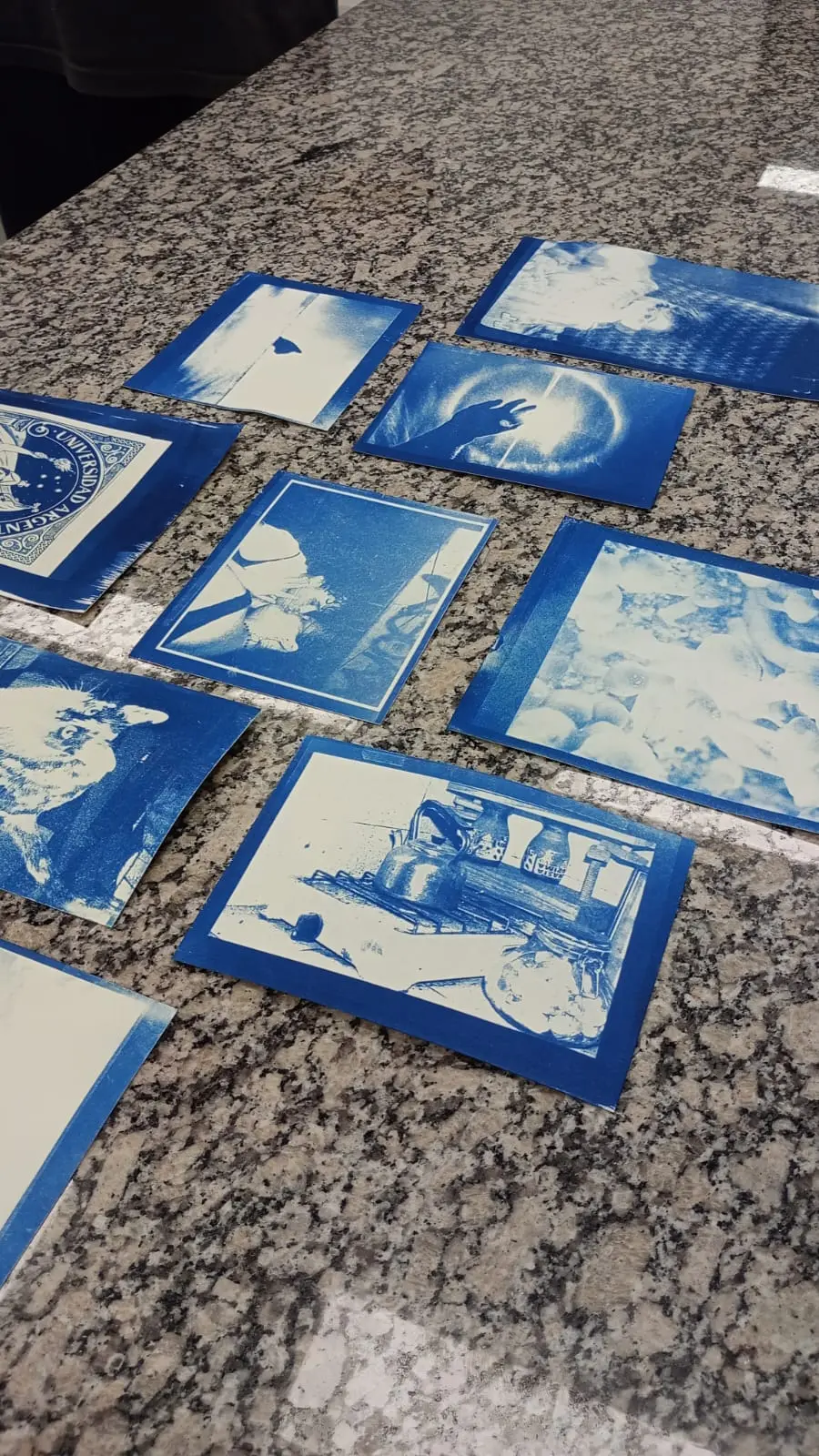 Copias de cianotipia realizadas durante el taller