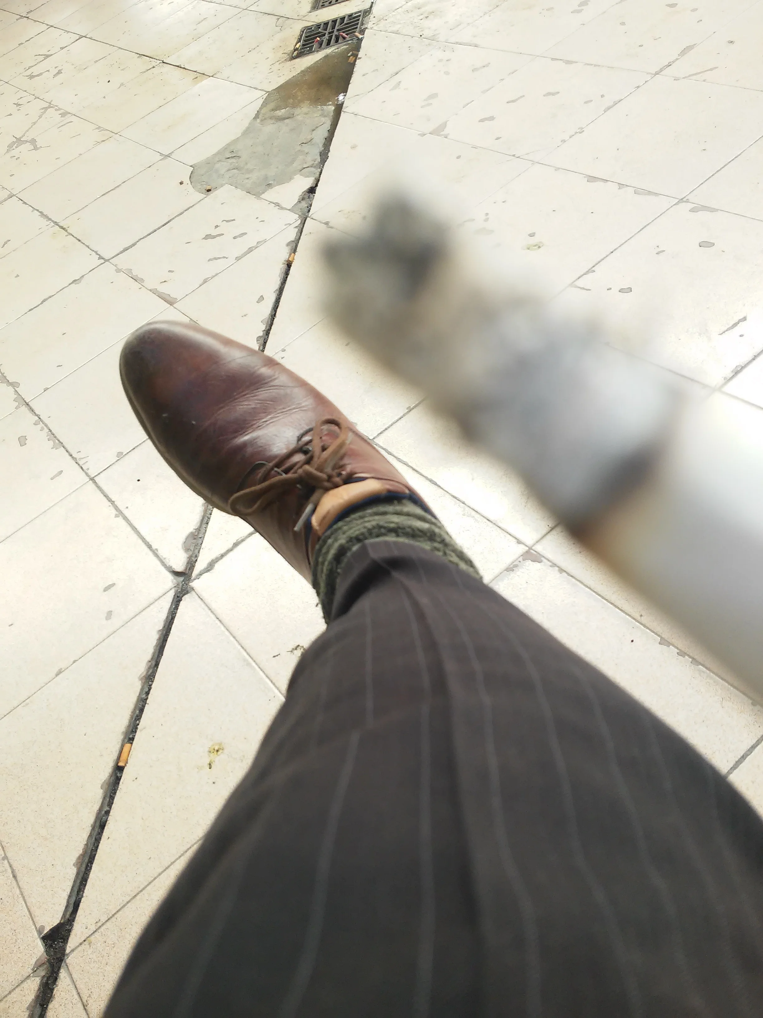 Un zapato y una paloma en la vereda, fotografía de Adrián Romero